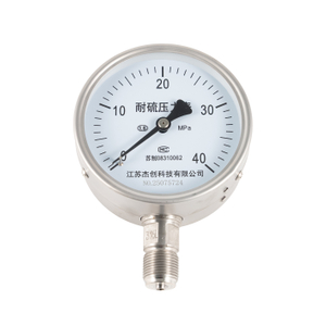 Sulfur Repugnans / Anti Sulfur Steel Pressure Gauge